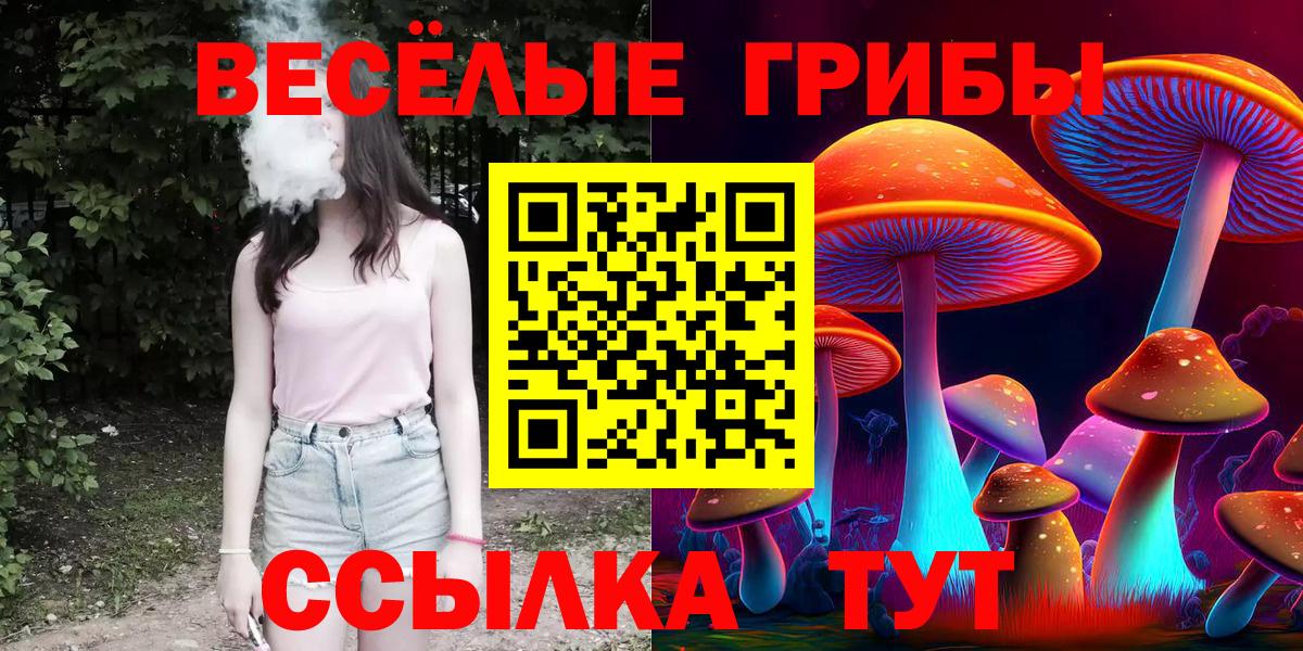 Лениногорск  Псилоцибиновые грибы Magic Shrooms  Вход с VPN 